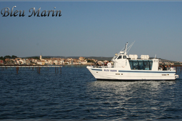 Bleu Marin Bouzigues Promenade en bateau dans les parcs à huitres de l'Etang de Thau (® Bleu marin)