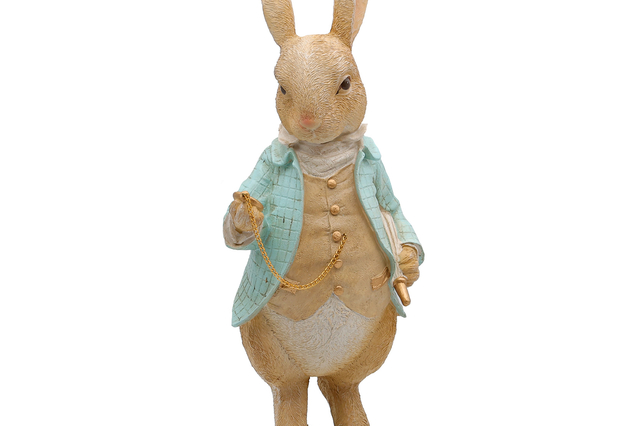 Lapin turquoise