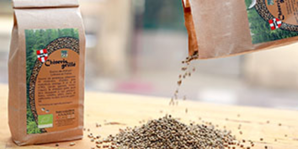 Seeds experience Montpellier: boutique CBD et chanvre de produits à base de CBD à découvrir en centre-ville. Ici graines de chénevis (® SAAM-Fabrice Chort)