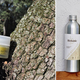 Les Herbes de Lajoie vend des cosmétiques à base de chanvre à Montpellier. Les Herbes de Lajoie vend des cosmétiques à base de chanvre à Montpellier.