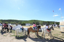Poneys du centre equestre Saint Baudile Equitation dans la commune de Fabregues au sud-Ouest de Montpellier (credits photos: EDV - Fabrice Chort)