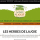 Les Herbes de Lajoie Montpellier a ouvert une boutique en ligne pour vendre ses produits naturels dérivés du chanvre. Les Herbes de Lajoie Montpellier a ouvert une boutique en ligne pour vendre ses produits naturels dérivés du chanvre.