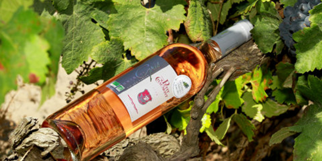 Vin Montpellier ici le vin rosé du Domaine du Petit Chaumont producteur de Vins de Sable Bio dans la commune d’Aigues Mortes (® NetWorld – Fabrice Chort)